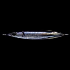 casting-jig-zeake-s-bit-30g-10-084.jpg casting-jig-zeake-s-bit-30g-10-084.jpg