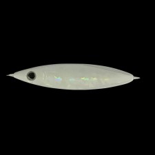 casting-jig-zeake-z-bit-20g-2.jpg casting-jig-zeake-z-bit-20g-2.jpg