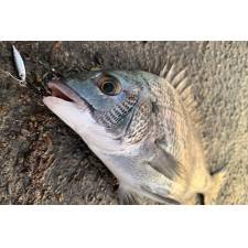 casting-jig-zeake-z-bit-20g-3.jpg casting-jig-zeake-z-bit-20g-3.jpg