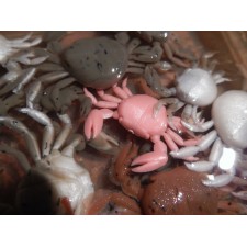 crabe-ecogear-4.jpg crabe-ecogear-4.jpg