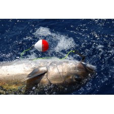 flotteur-rapide-top-sea-release-tuna-plug-3.jpg flotteur-rapide-top-sea-release-tuna-plug-3.jpg