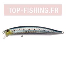 fs105-9.jpg fs105-9.jpg