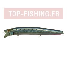 fs128-10.jpg fs128-10.jpg