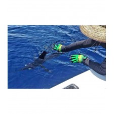 gant-pelagic-end-game-pro-gloves-dorado-vert-3.jpg gant-pelagic-end-game-pro-gloves-dorado-vert-3.jpg