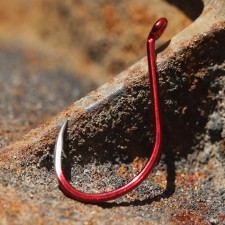 hame-on-bkk-red-octopus-beak-4.jpg