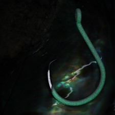hame-on-simple-bkk-heavy-circle-hook-glow-2.jpg hame-on-simple-bkk-heavy-circle-hook-glow-2.jpg
