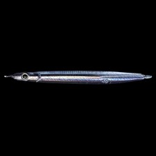 jig-zeake-g-slasher-40g-5-084.jpg jig-zeake-g-slasher-40g-5-084.jpg