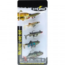 kit-storm-wild-eye-live-kit-2-5.jpg kit-storm-wild-eye-live-kit-2-5.jpg