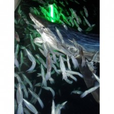 lampe-hydro-glow-light-1-2.jpg lampe-hydro-glow-light-1-2.jpg