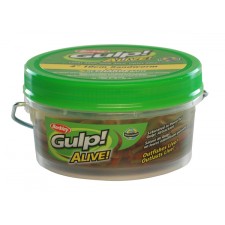 leurre-berkley-gulp-alive-n-r-s-15-cm.jpg leurre-berkley-gulp-alive-n-r-s-15-cm.jpg