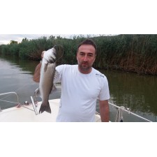 leurre-bertox-sea-bass-candy-11cm-par-2-3.jpg leurre-bertox-sea-bass-candy-11cm-par-2-3.jpg