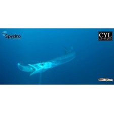 leurre-cyl-artesano-real-squid-160mm-video.jpg leurre-cyl-artesano-real-squid-160mm-video.jpg