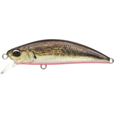 leurre-duo-spearhead-ryuki-45-s-43-anaz334.jpg