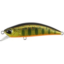 leurre-duo-spearhead-ryuki-50-f-8-mcc4084.jpg leurre-duo-spearhead-ryuki-50-f-8-mcc4084.jpg