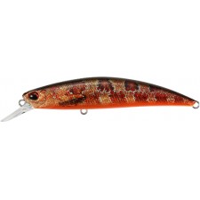 leurre-duo-spearhead-ryuki-80-s-19-accz242.jpg