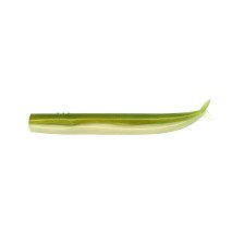 Leurre Fiiish Crazy Sand Eel 180mm-CSE5055 Leurre Fiiish Crazy Sand Eel 180mm-CSE5055
