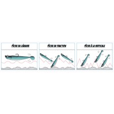leurre-flashmer-blue-shad-12-cm-3.jpg leurre-flashmer-blue-shad-12-cm-3.jpg