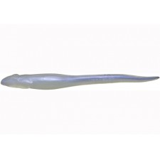 leurre-hazedong-couleur-ghost-shad-solid.jpg