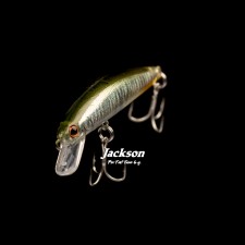 leurre-jackson-pintail-tune-55mm-6g-1.jpg
