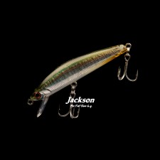 leurre-jackson-pintail-tune-55mm-6g-2.jpg