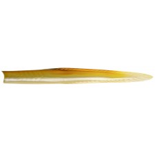 leurre-majikeel-couleur-sand-eel-007-.jpg leurre-majikeel-couleur-sand-eel-007-.jpg