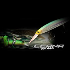 leurre-major-craft-ceana-jerk-middle-110mm-17.jpg leurre-major-craft-ceana-jerk-middle-110mm-17.jpg
