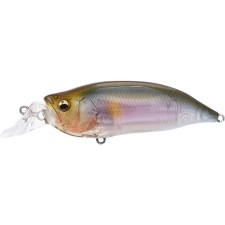 leurre-megabass-ixi-shad-lbo-type-r-60mm-3-ixishadtyper-itoayu.jpg leurre-megabass-ixi-shad-lbo-type-r-60mm-3-ixishadtyper-itoayu.jpg
