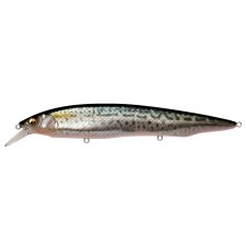 leurre-megabass-kanata-sw-4-fa-saba.jpg