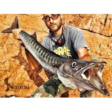 leurre-nemesi-140-ss-barracuda.jpg leurre-nemesi-140-ss-barracuda.jpg
