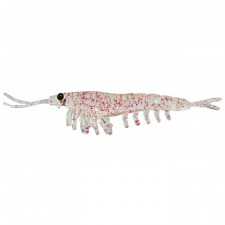 leurre-nikko-okiami-shrimp-42mm-092.jpg leurre-nikko-okiami-shrimp-42mm-092.jpg