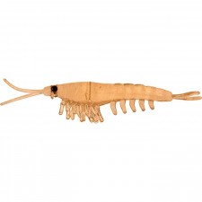 leurre-nikko-okiami-shrimp-58mm-36.jpg leurre-nikko-okiami-shrimp-58mm-36.jpg
