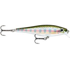 leurre-rapala-bx-minnow-10-rt.jpg