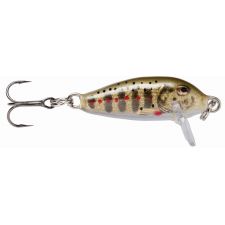 leurre-rapala-countdown-gjtr.jpg