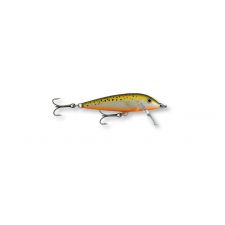 leurre-rapala-countdown-rfsm.jpg
