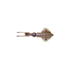 leurre-savage-gear-3d-lb-swim-squid-95mm-3-cuttlefish.jpg leurre-savage-gear-3d-lb-swim-squid-95mm-3-cuttlefish.jpg