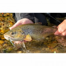 leurre-savage-gear-3d-sticklebait-twitch-coulant-55mm-10.jpg leurre-savage-gear-3d-sticklebait-twitch-coulant-55mm-10.jpg