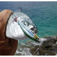 leurre-savage-gear-gravity-minnow-flottant-50mm-9.jpg leurre-savage-gear-gravity-minnow-flottant-50mm-9.jpg