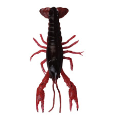 leurre-savagear-3d-crayfish-12.5-cm-1.jpg leurre-savagear-3d-crayfish-12.5-cm-1.jpg