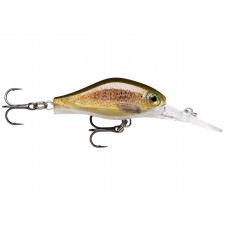 leurre-shadow-rapala-shadow-fat-jack-12-ra5821049.jpg leurre-shadow-rapala-shadow-fat-jack-12-ra5821049.jpg