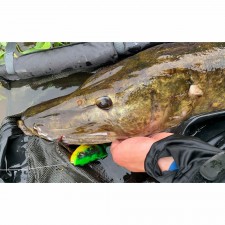 leurre-souple-arme-savage-gear-4d-line-thru-perch-shad-200mm-5.jpg leurre-souple-arme-savage-gear-4d-line-thru-perch-shad-200mm-5.jpg