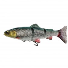 leurre-souple-arme-savage-gear-4d-line-thru-trout-150mm-6-green-silver.jpg leurre-souple-arme-savage-gear-4d-line-thru-trout-150mm-6-green-silver.jpg
