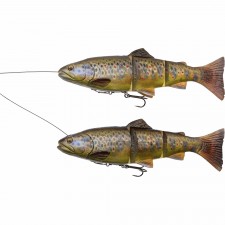 leurre-souple-arme-savage-gear-4d-line-thru-trout-250mm-6.jpg leurre-souple-arme-savage-gear-4d-line-thru-trout-250mm-6.jpg