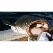 leurre-souple-arme-savage-gear-4d-spin-shad-trout-110mm-5.jpg leurre-souple-arme-savage-gear-4d-spin-shad-trout-110mm-5.jpg