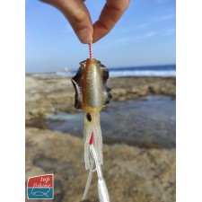 leurre-souple-arme-top-fishing-assistcuttle-6.jpg
