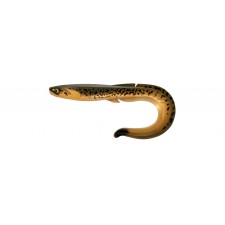 leurre-souple-fishup-ram-grub-255mm-2-302.jpg leurre-souple-fishup-ram-grub-255mm-2-302.jpg