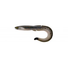 leurre-souple-fishup-ram-grub-255mm-301.jpg leurre-souple-fishup-ram-grub-255mm-301.jpg