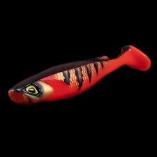 leurre-souple-fishup-ram-shad-203mm-12.jpg leurre-souple-fishup-ram-shad-203mm-12.jpg