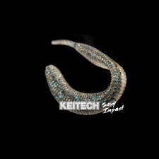 leurre-souple-keitech-sexy-impact-145mm-10.jpg leurre-souple-keitech-sexy-impact-145mm-10.jpg
