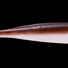 leurre-souple-keitech-shad-impact-50mm-26-s23.jpg leurre-souple-keitech-shad-impact-50mm-26-s23.jpg