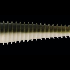 leurre-souple-keitech-swing-impact-fat-84mm-23-s21.jpg